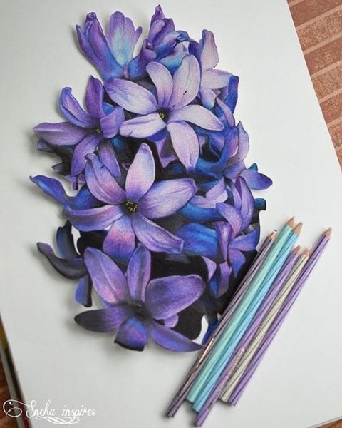 Красивые цветы цветными карандашами