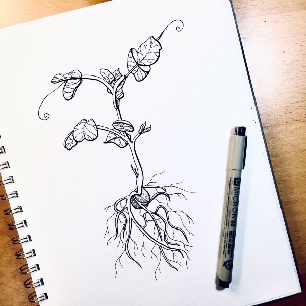 Скетчинг рисунки карандашом