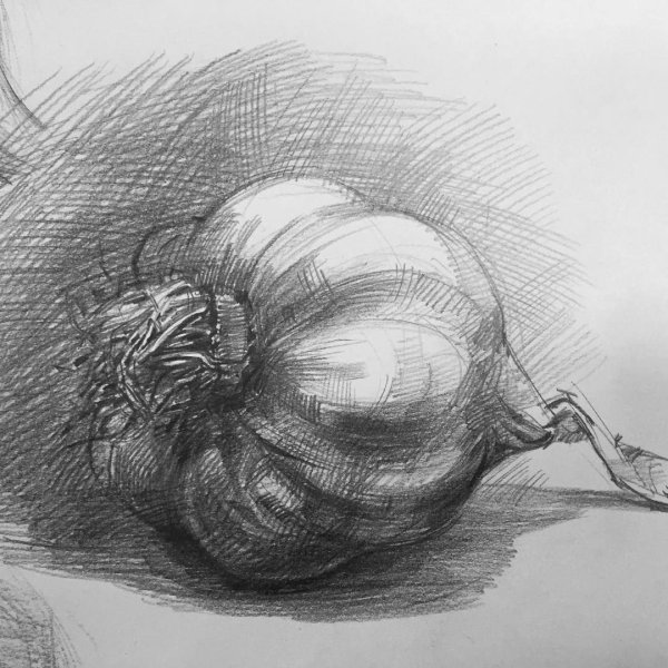 Натюрморт яблоко карандашом