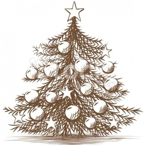 Карандашный набросок елки