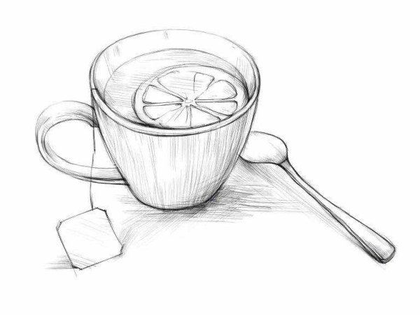 Роза карандашом