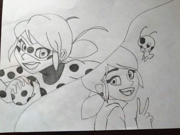 Леди баг и супер кот карандашом