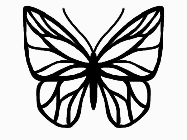 Контур бабочки трафарет
