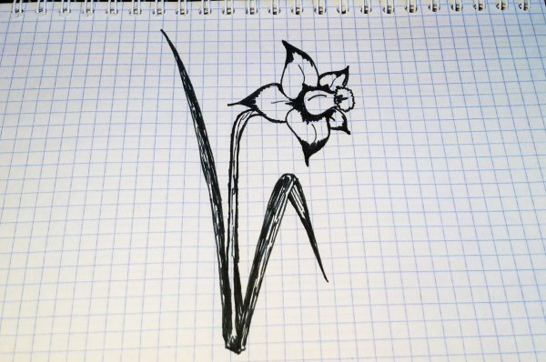 Рисунки простые несложные