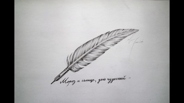 Нарисовать перо