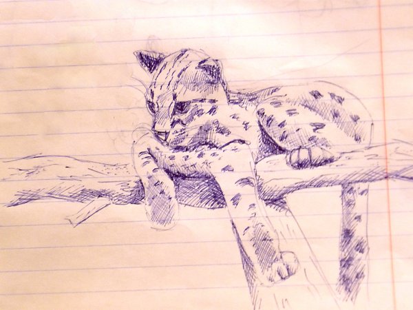 Рисунки ручкой животные