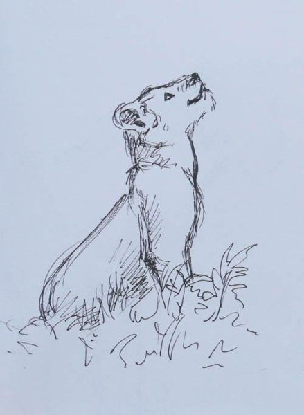 Наброски животных гелевой ручкой