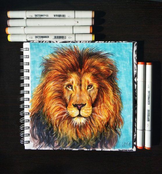 Лев маркерами