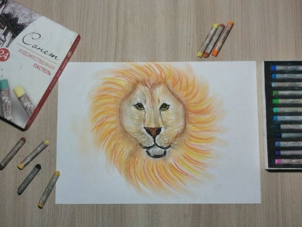 Лев фломастерами