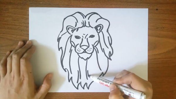 Как нарисовать Льва