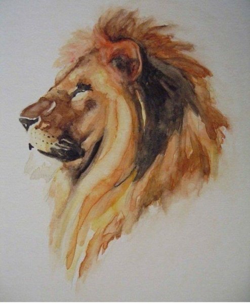 Детские рисунки Льва фломастером