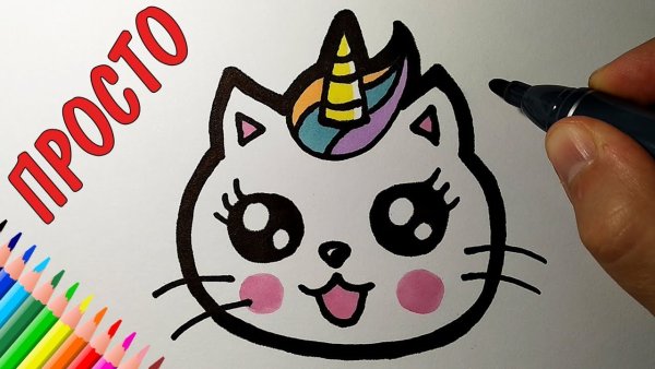 Как нарисовать котика единорожку
