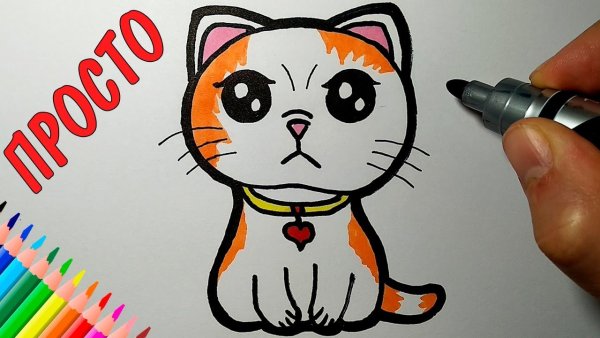 Как нарисовать кошку