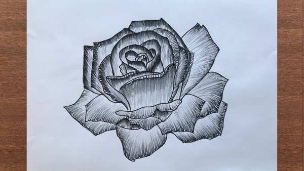 Рисунки чёрным фломастером