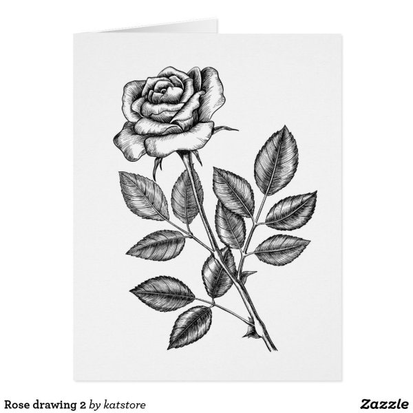 Роза черной ручкой