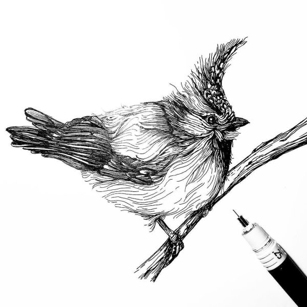 Перо для рисования