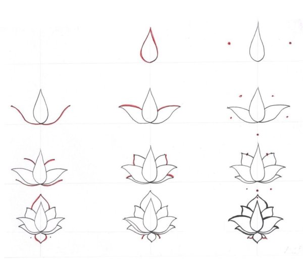 Поэтапные эскизы рисунков