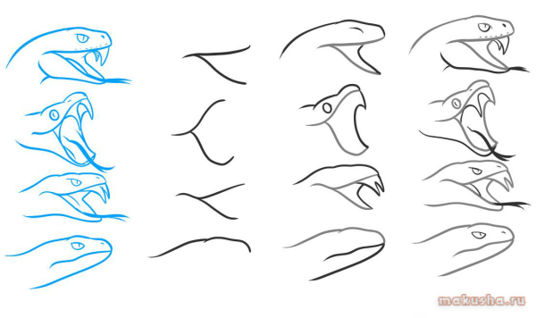 Поэтапное рисование змеи