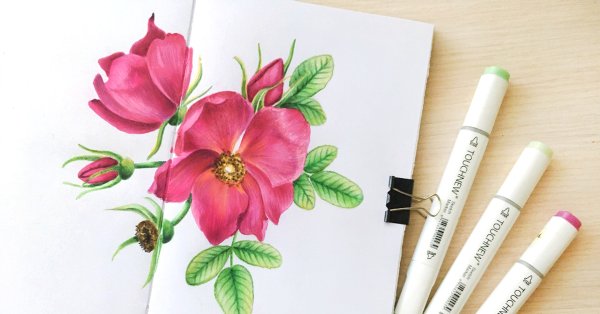 Рисунки маркерами