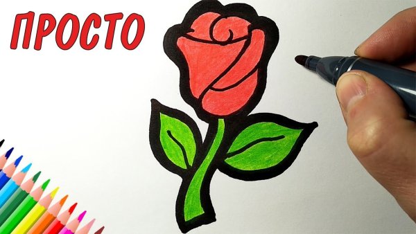 Рисунки просто так