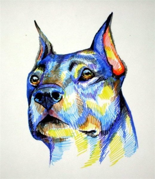 Рисунки фломастерами