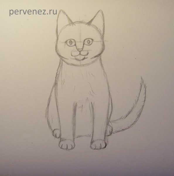 Рисунок кота ручкой