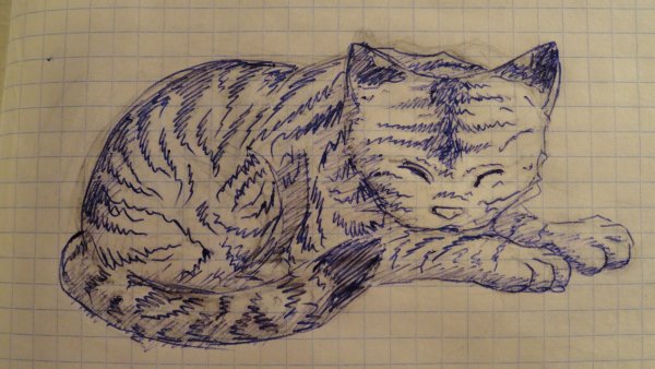 Кот рисунок