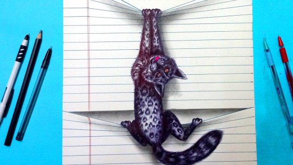 Лёгкие рисунки ручкой