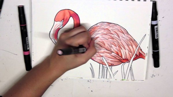 Классные рисунки маркерами