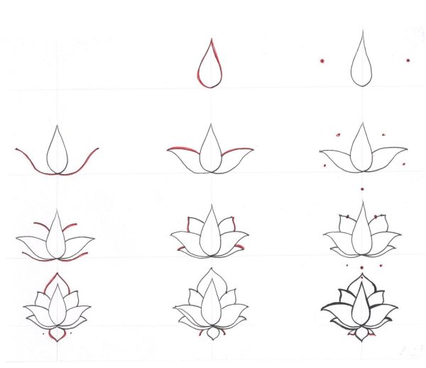 Поэтапные эскизы рисунков