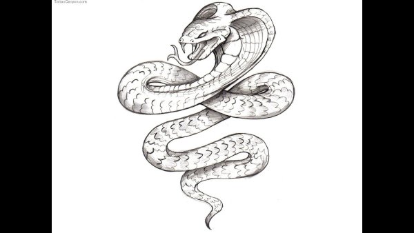Тату змея