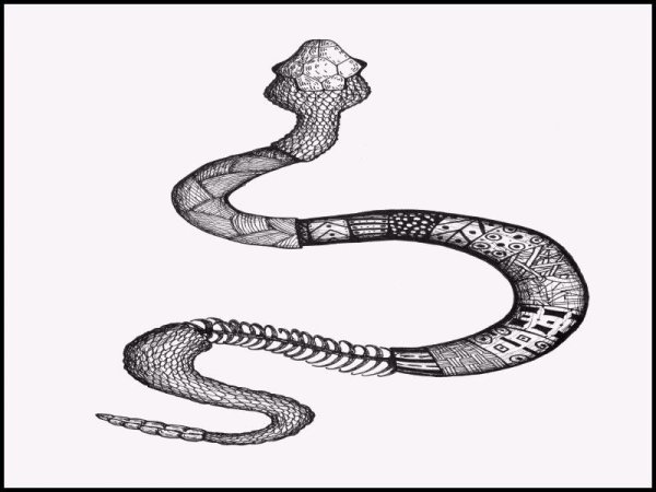 Змея зарисовка