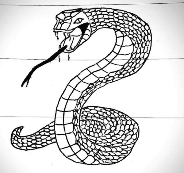 Рисунки змей