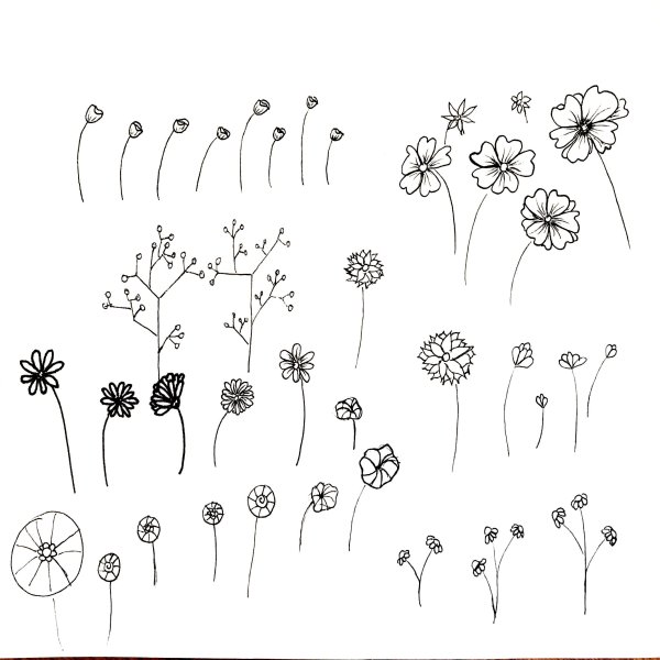 Цветы для рисования маленькие