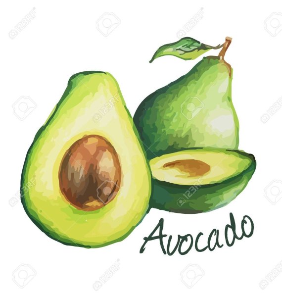 Авокадо маркерами легко