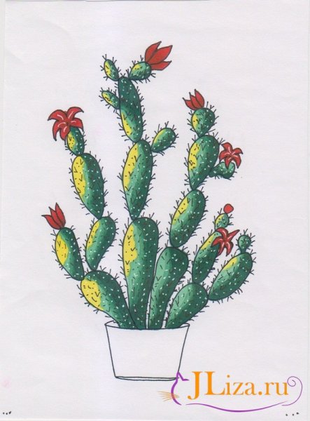 Кактус фломастерами