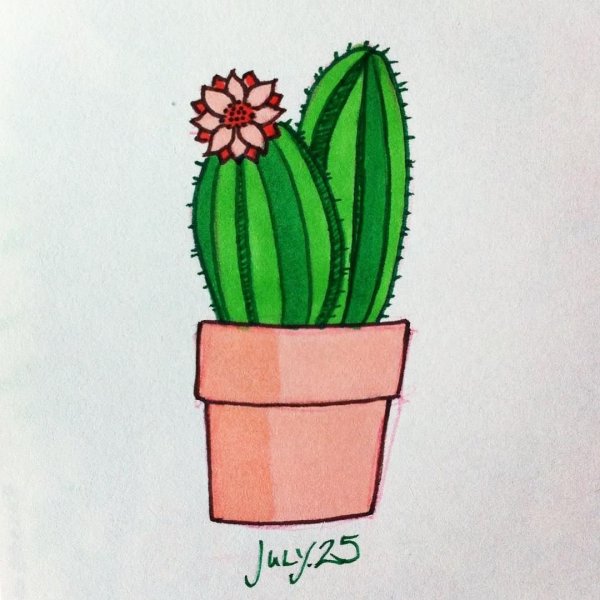 Картинки кактуса для срисовки