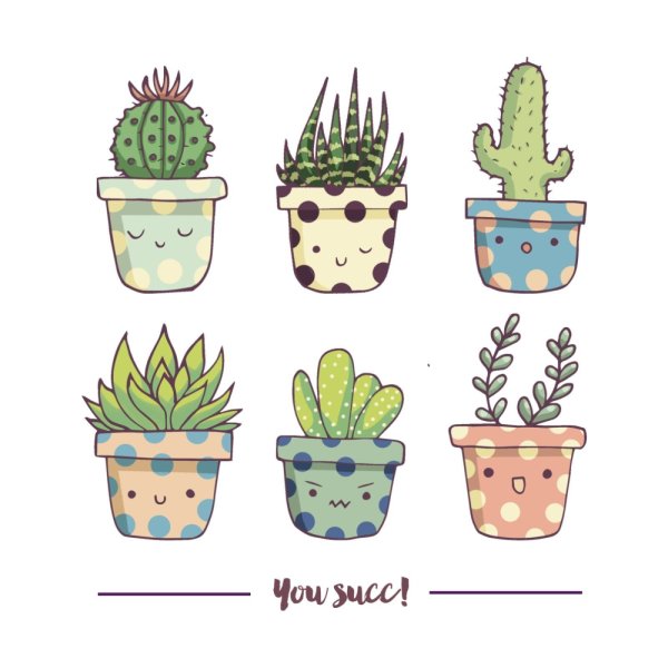 Милые кактусы