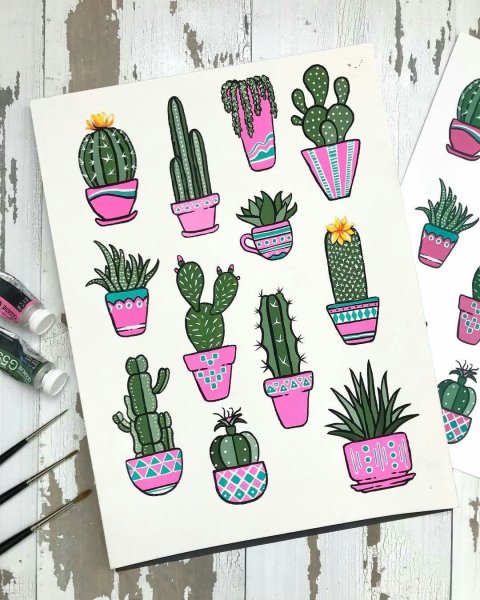 Кактус для срисовки