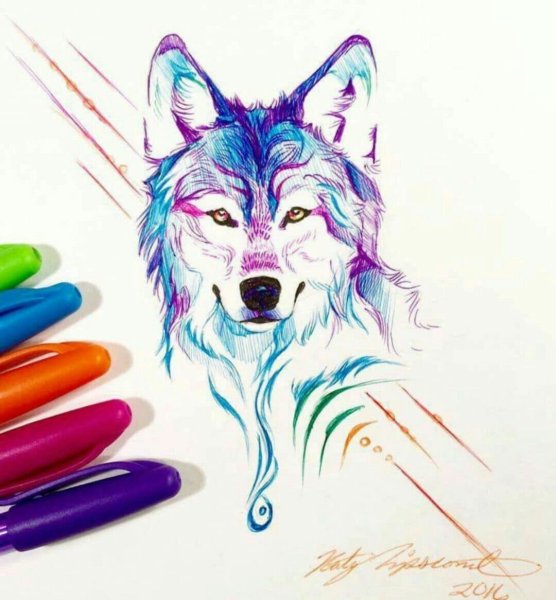 Волк рисунок цветной