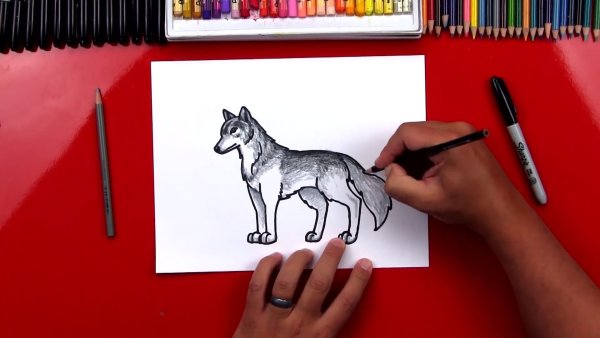 Идеи для рисования