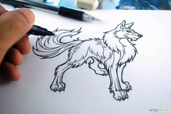 Волк рисунок ручкой