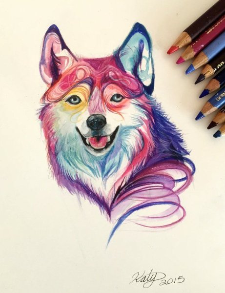 Волк рисунок цветными карандашами