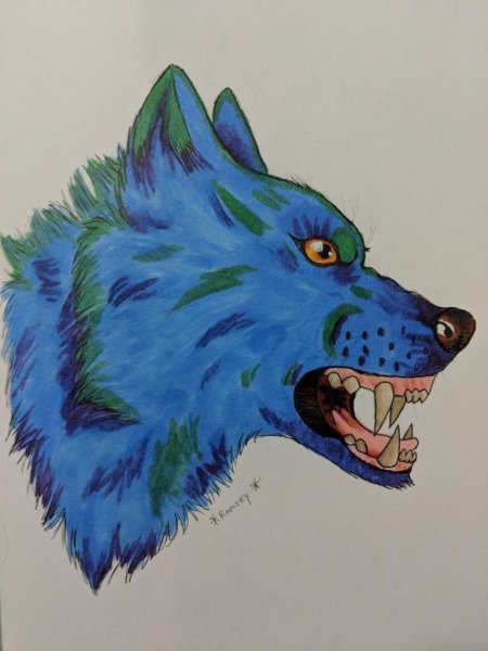 Волк фломастером