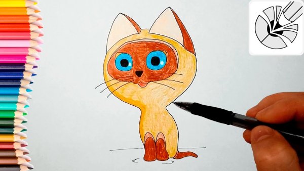 Котик фломастерами детям