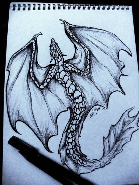 Дракон рисунок ручкой