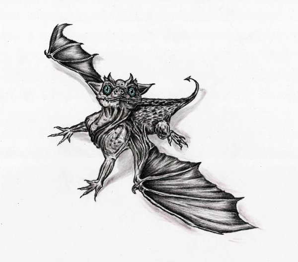 Тату карандашом на бумаге