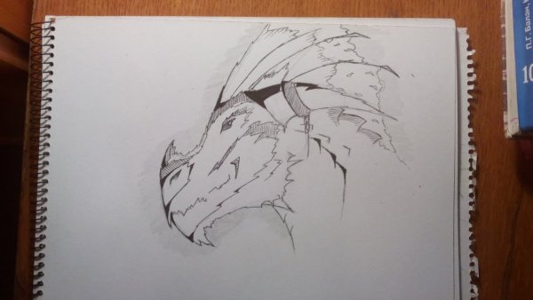 Дракон скетч