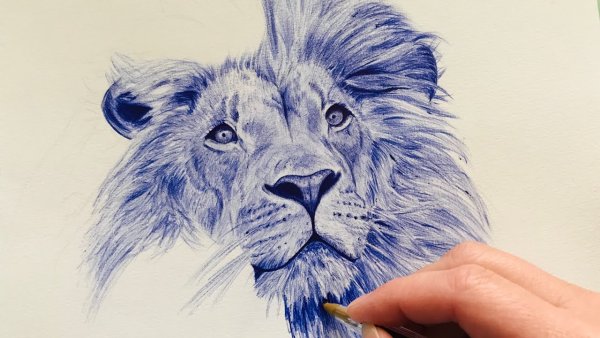Лев рисунок ручкой