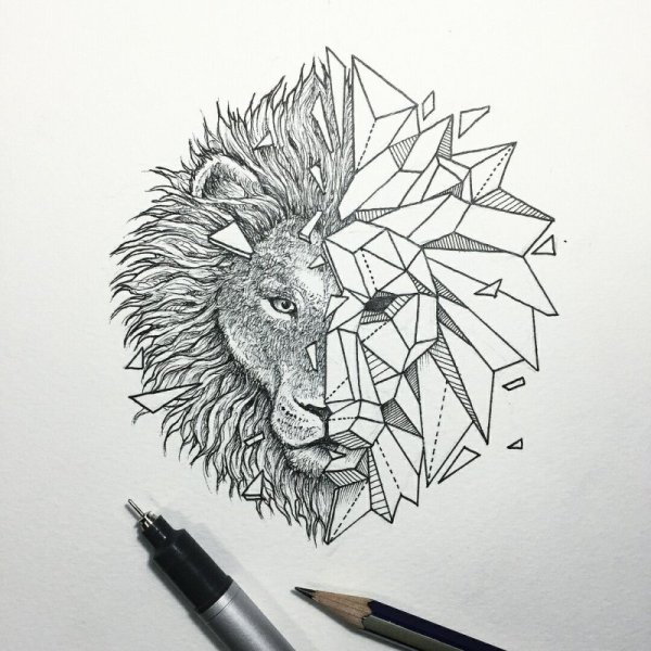 Лев геометрия